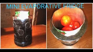 How to make a mini evaporative fridge at home- DIY. No electric power needed