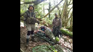 hunting deer at Ruahine Forest Park, New Zealand