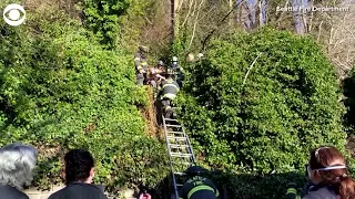 WEB EXTRA: Dog Rescued After Being Trapped For Nearly A Week In Home That Collapsed In Landslide