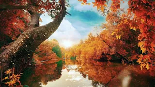 #Футаж осень из сказки ◄4K•HD► #Footage autumn from a fairy tale