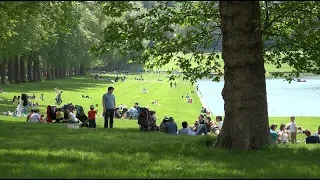 Un printemps à Versailles