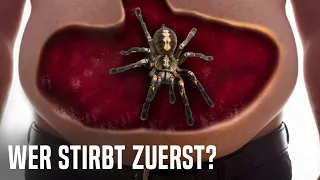 Was ist, Wenn du Eine Spinne Verschluckst?