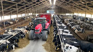 3.500 foliebalen per jaar: op bezoek bij melkveebedrijf Bos in Zuidbroek | LG Seeds