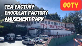 Tea Factory And Museum 🌱| Chocolate 🍫 Factory |Ooty Tamil Nadu | Places To Visit Near Doddabetta