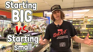 Pros and Cons of Starting with a Big Tank vs a Small Tank for Your New Pet Reptile or Amphibian!