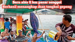 seru abis ll km pasar senggol berhasil menangkap ikan tongkol gepeng