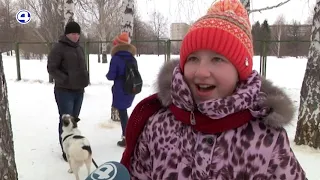 Дети из детдома выгуливают собак