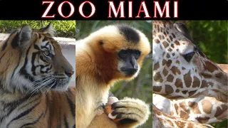 Visit Zoo Miami!