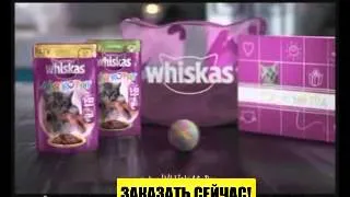 Whiskas   идеальный  корм для котят