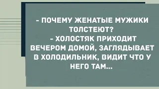 - Почему женатые мужчины толстеют? Сборник Свежих Анекдотов! Юмор!