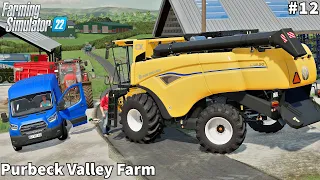 New Holland CX 2024 Harvester, Selling Bulls, Barley Harvesting│Purbeck Valley│FS 22│Timelapse#12