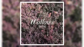 Wallows - It's Only Right (Letra/Lyrics)