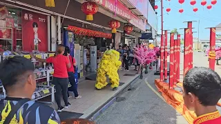 lion dance ground performance by song tien inanam