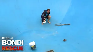 The Rat Rescue | Bondi Rescue S8 E7