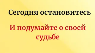 Сегодня остановитесь и подумайте о своей судьбе. Тайна Жрицы