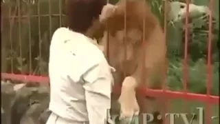 Невероятная дружба Льва и человека
