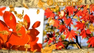 Happy autumn birthday. Beautiful birthday greetings. Video card