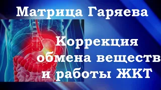 Часть 2 Коррекция Обмена Веществ и Работы Пищеварительного Тракта 🎧Матрица Гаряева💠Исцеление Звуком