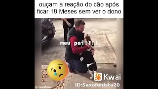 o cachorro chora ao ver o dono apos 18 mes