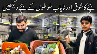 Rawalpindi Sunday Birds Market | Raw,Ringneck (white,Yellow,Green,Blue & suncanure chicks available)