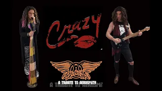 Crazy | Dream on Tribute Band | Aerosmith | UK