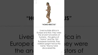 World 🌏 History: Evolution of Mankind, Part 3- Homo Erectus