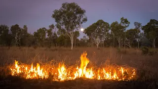 Decolonising Fire Science - Dr Philip Zylstra with Uncle David Wandin