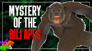 The Bizarre History of The Bili Apes | Lion-Killing Apes Among Us?