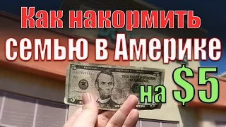 КАК НАКОРМИТЬ СЕМЬЮ В АМЕРИКЕ на $5 долларов