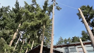 Zipline tree - rigging, precautions