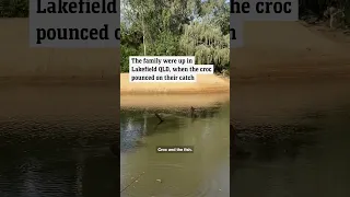 Terrifying encounter: Aussie family meets a crocodile up close