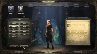Pillars of Eternity Character Creation Guide For Beginners Customization & Classes 1st Look
