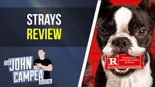 Strays Movie Review