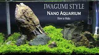 Iwagumi Style Nano Aquascapeing - How to Make Aquarium Carpet Plant