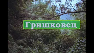 Про Гришковца