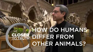 How do Humans Differ from Other Animals? | Episode 1202 | Closer To Truth