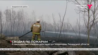 8 ландшафтных пожаров действуют на территории Тюменской области