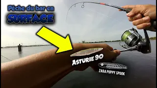 Pêche du bar du bord en surface : des poissons très actifs ! (Partie 3/3)