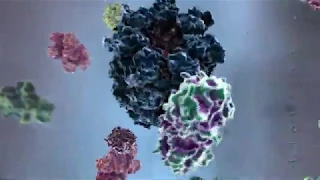 Powering the Cell: Mitochondria (BioVisions) (Official Version)