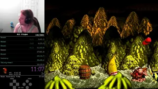 Highlight: DKC All Stages in 32:13
