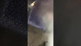 Steam Cleaning a Bus Seat