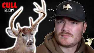 The Dirty Truth About CULL BUCKS (9+ years of Deer Research Explained)