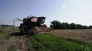 Уборка пшеницы 2021 Нива СК5 М1