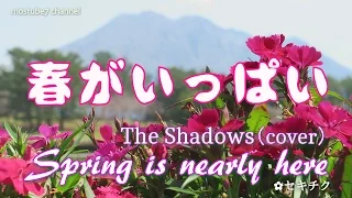 Spring Is Nearly Here(Shadows cover) ｢春がいっぱい｣ ひとりベンチャーズ