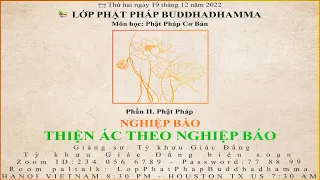 Phật Pháp Cơ Bản | Phần II: Phật Pháp - NGHIỆP BÁO - THIỆN ÁC THEO NGHIỆP BÁO