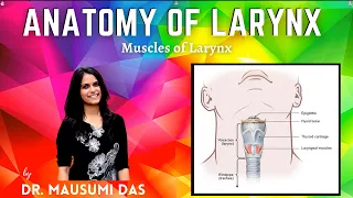 Muscles of Larynx - Origin, Insertion, Nerve supply, Action