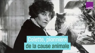 Colette, pionnière de la cause animale