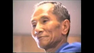 Ip Chun - Wooden Dummy Techniques and Applications