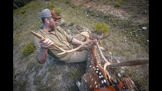 EZY - Axis Deer Hunting Texas