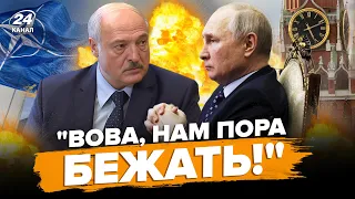 🤣Лукашенко ВТІКАЄ до Литви! Путін ОБГИДИВСЯ через F-16. НАПАД НА НАТО СКАСОВАНО!  | ВЄСТІ